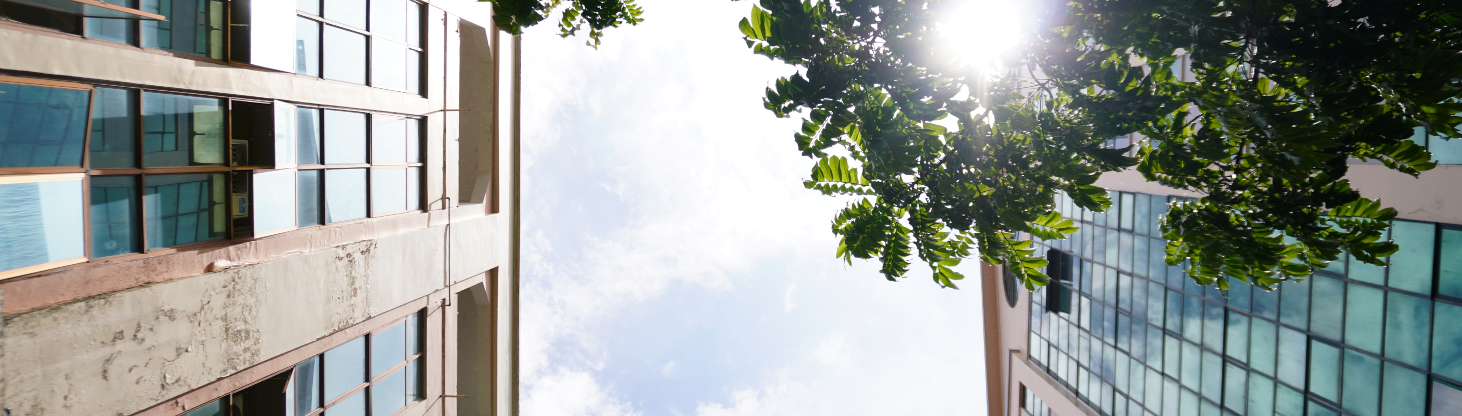 Câu hỏi thường gặp